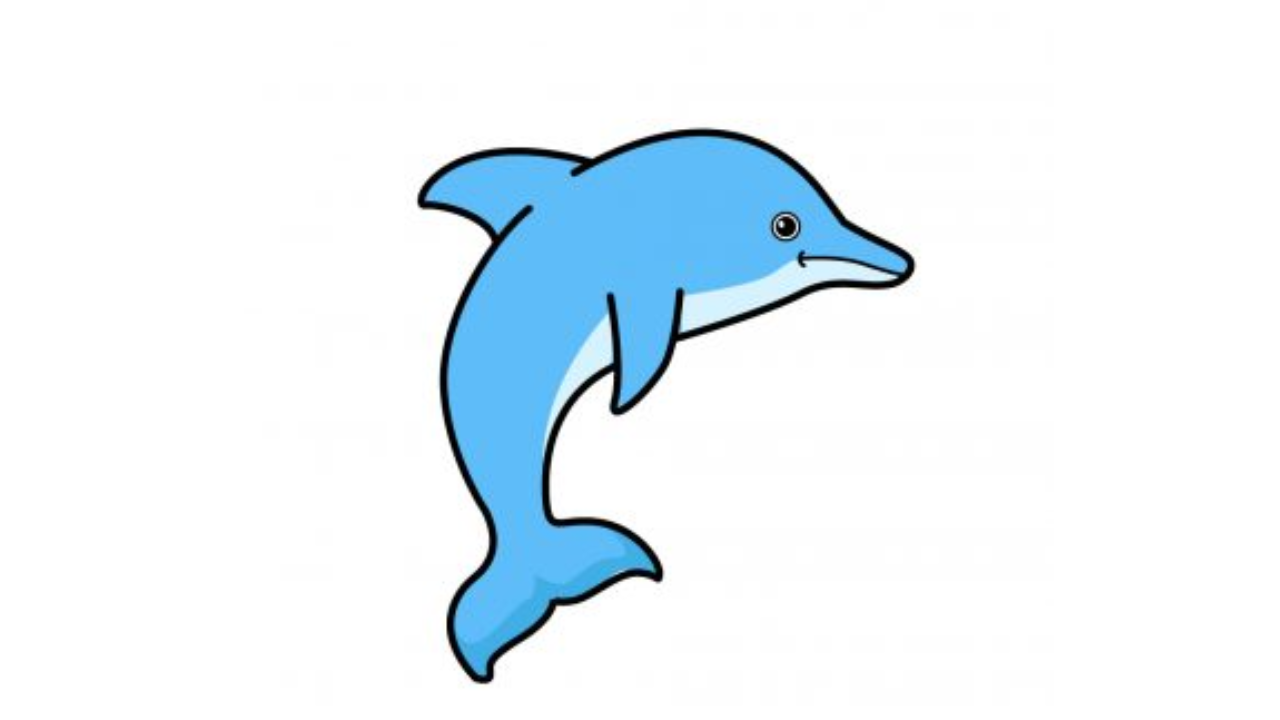 Draw a Dolphin